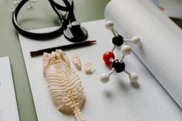 Découvrez les bienfaits du chiropracteur à montanay