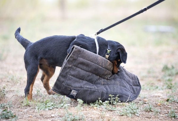 Comment obtenir un numéro de sécurité sociale ?