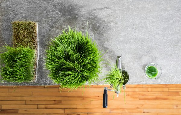 Comment extraire une vidéo de youtube ?